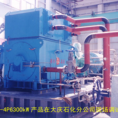 大庆石化（2006年 ，YAKS710-4P，1台）